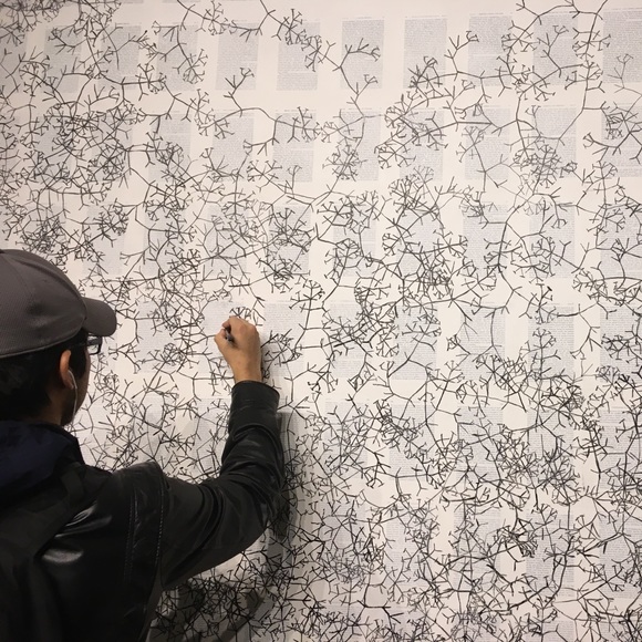 Meet your Posher, Oscar - Picture 2 of 2